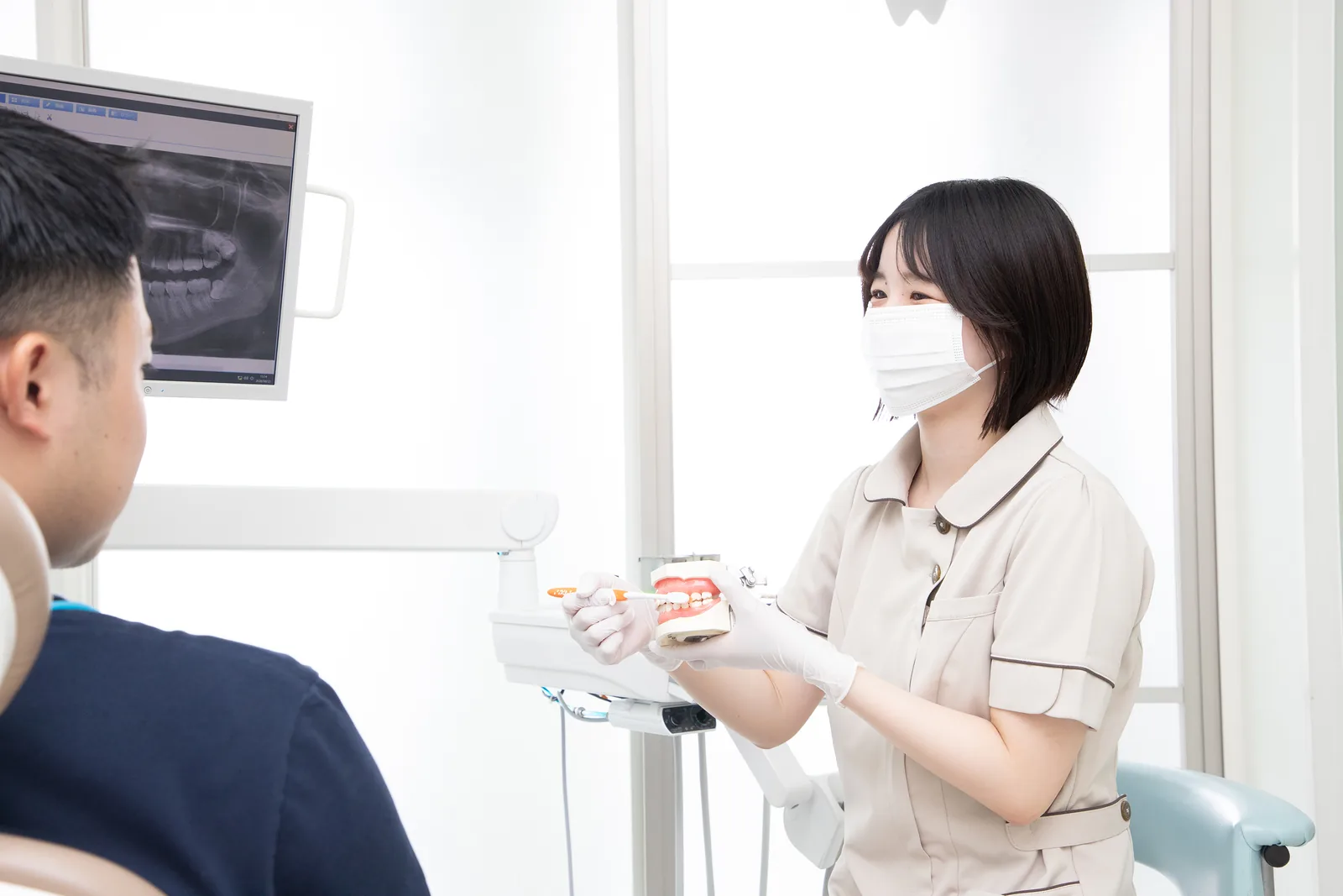 歯科衛生士が歯の模型を使って説明する様子
